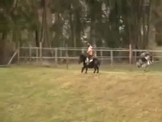 Struzzo insegue bimbo mentre cavalca un pony