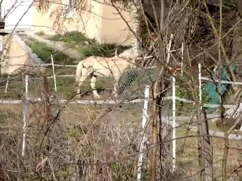 Chic, je vais ENCORE manger toute la journée !!