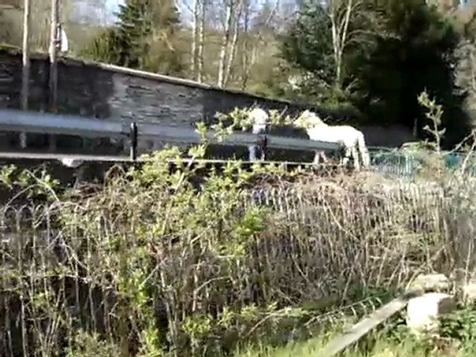 Pressé le Caramel !!