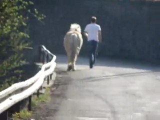 Chic, je pars manger !!!!