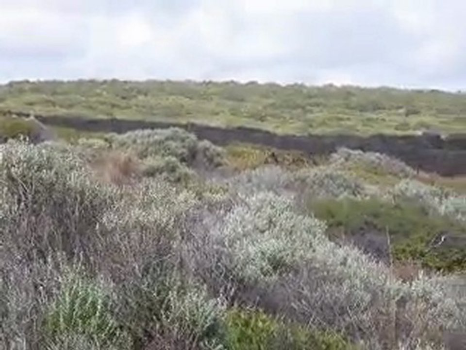quelque part entre cape naturaliste et cape leeuwin