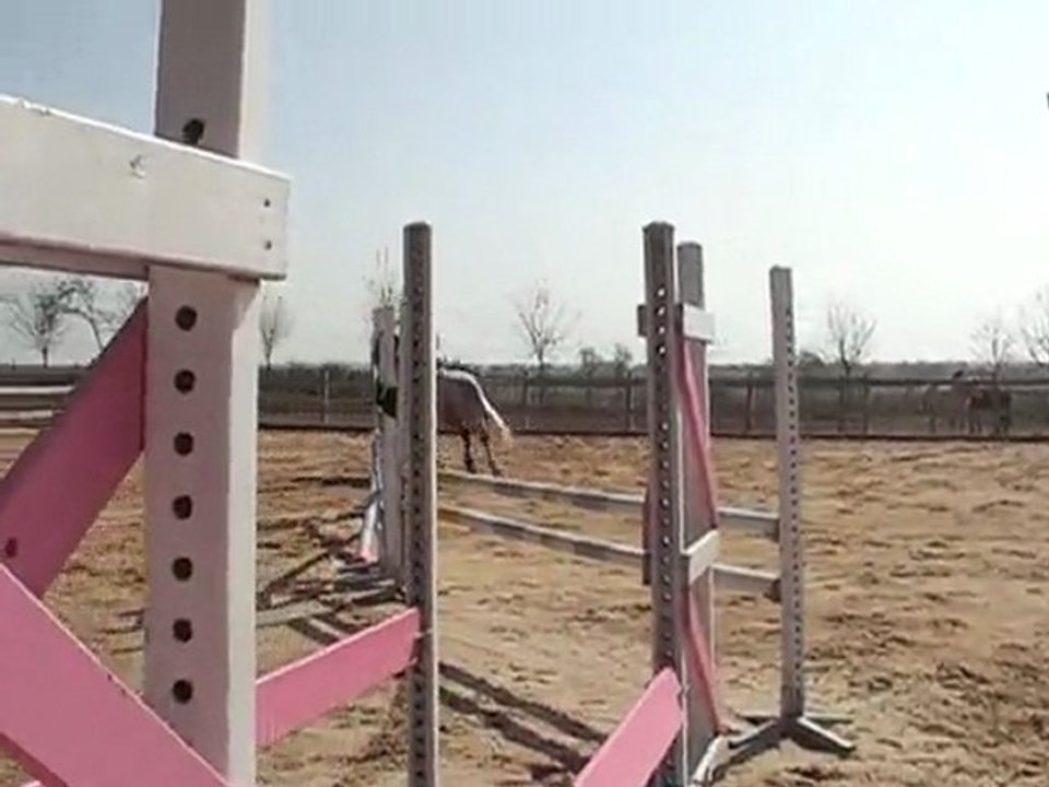 Qartoone obstacle