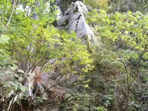 Diaporama de l'année 2009 - 25ème partie