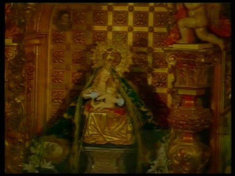 Romería Virgen del Puerto 2010 (2)