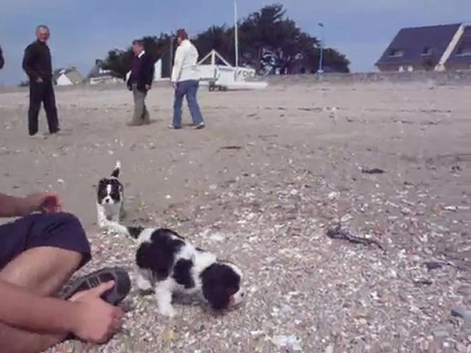 sortie plage loulous de cyrabelle