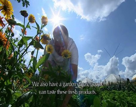 Le Parc naturel régional des Vosges du Nord (version longue)