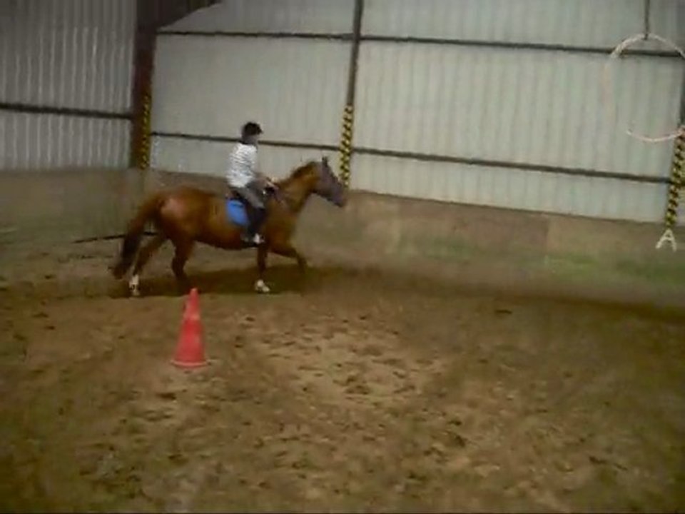 Galop du Mardi 27 Avril 2010