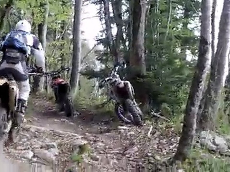Nico123 + Niconath montée racine