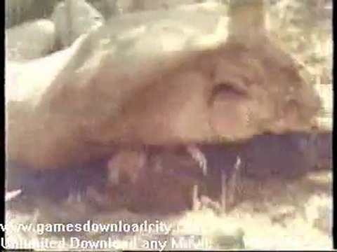 Faces Of Death - Lion Attacks Tourists