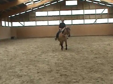 vacances pâques 2010 ( deplacement lateral à cheval )