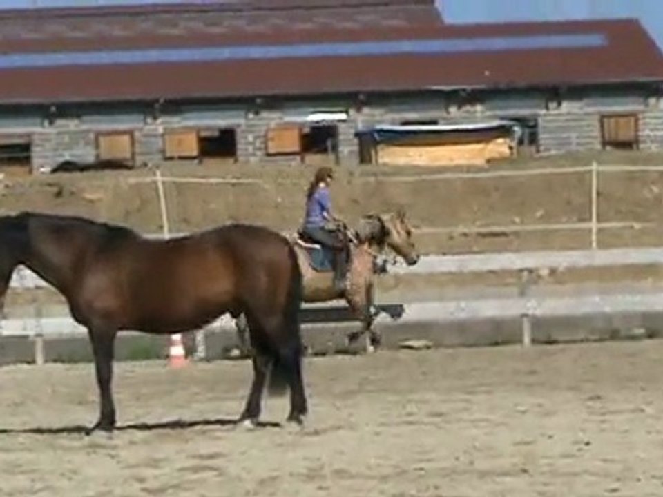 vacances pâque 2010 ( Galop à main droite )