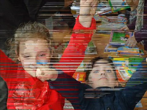 Fotos Sant Jordi 2010 a Gràcia