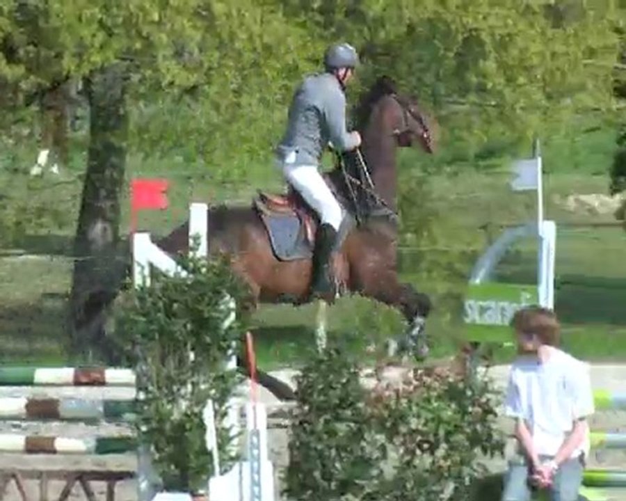 Cheval CSO 4 ans à vendre Midi Pyrénées