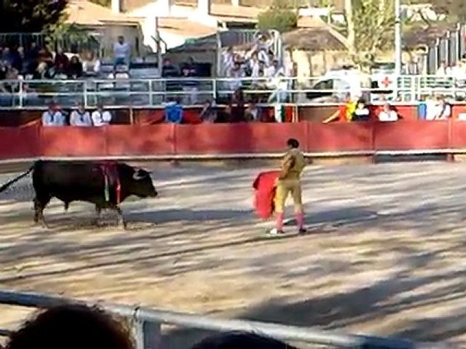 Vergèze 2010: Camille Juan 2d toro