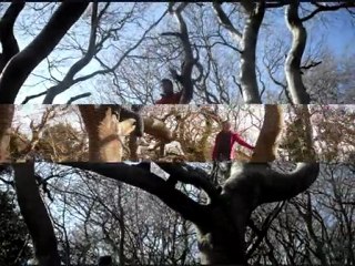 Friends of Llandudno - Little Orme & Magic Forest