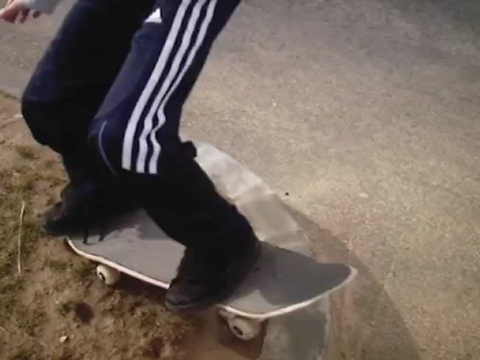 SKATE steven et meddy 2