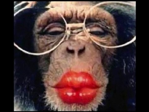 Parodie de j'accuse - Johann Roques se fait déchirer !!!