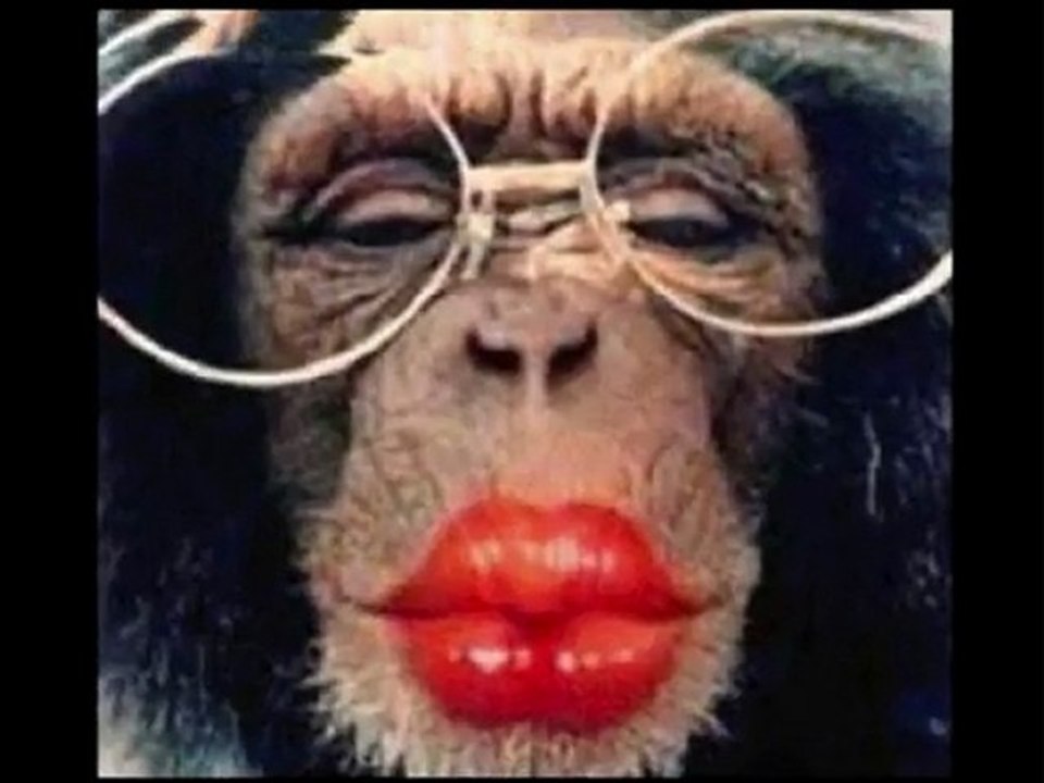 Parodie de j'accuse - Johann Roques  se fait déchirer !!!