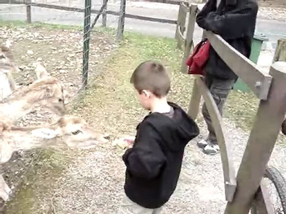 La Princesse et le Rider