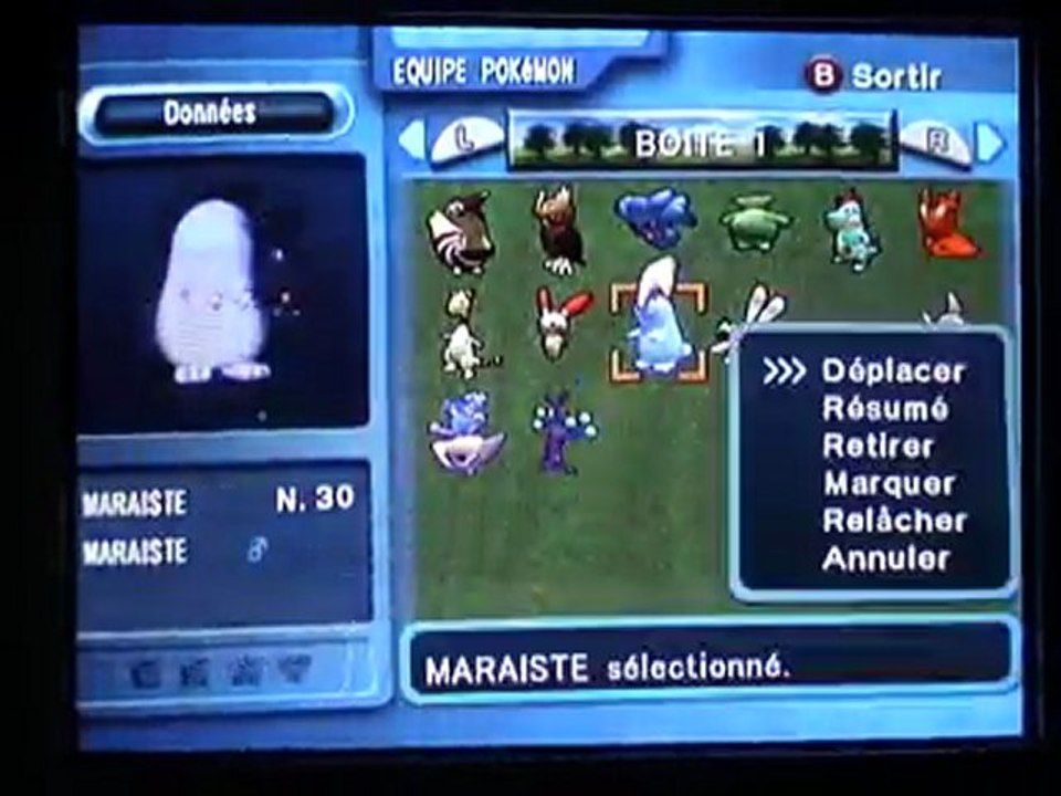 Pokémon Colosseum (22) : Préparation