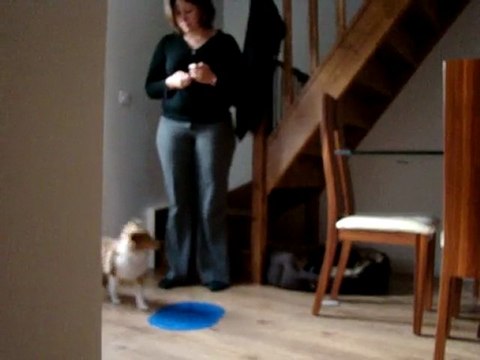 Exxos au cliker 1 (shapping)