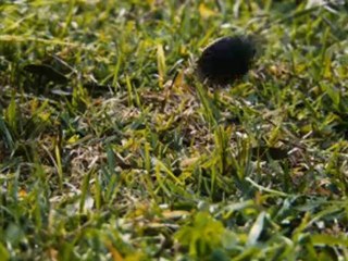 The Final Destination 3D - Il primo trailer ufficiale