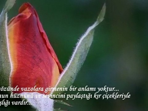 182 - Bir duygunun nakış nakış dokunduğu sevgiye dair