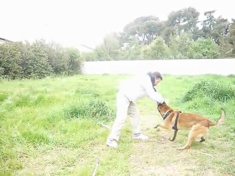 dakota entrainement