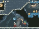 New super mario bros DS