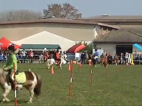 Peter Dale 2010 Tignieu Manche 1 Minis Poitou Charentes