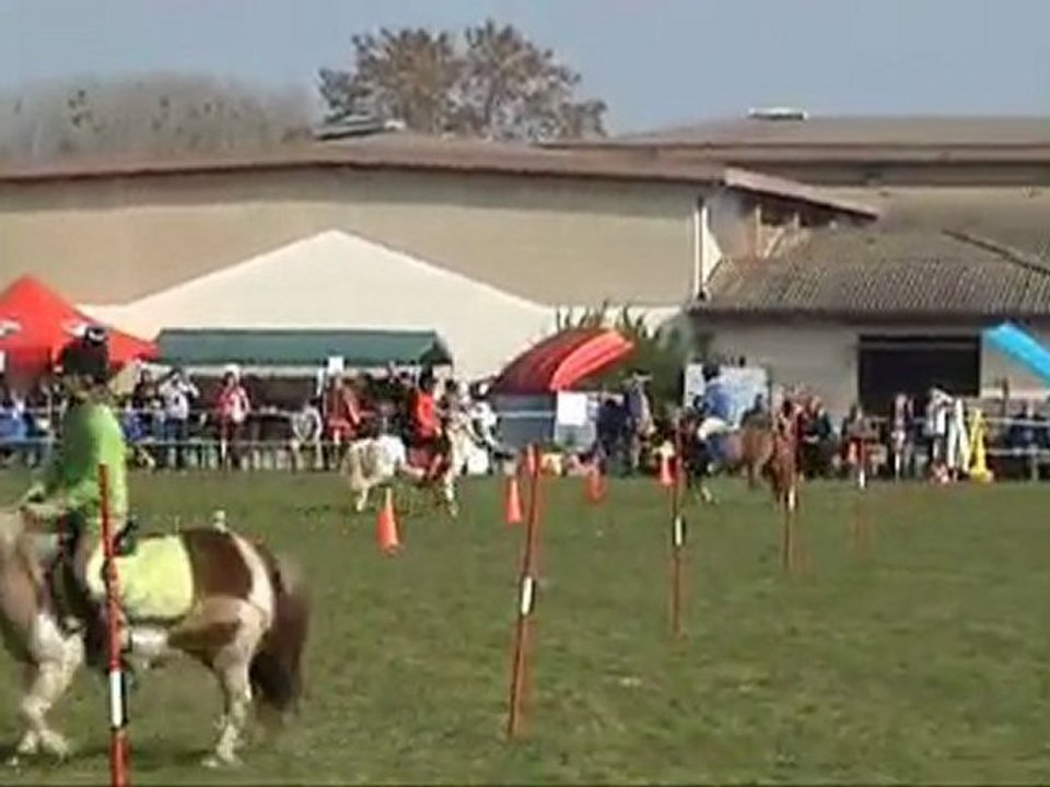 Peter Dale 2010 Tignieu Manche 1 Minis Poitou Charentes