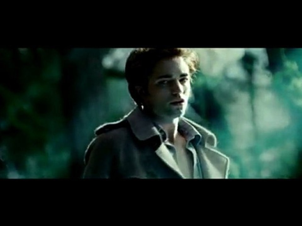 Twilight - If We Ever Meet Again