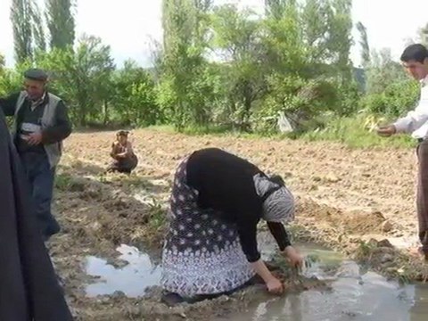 GÜNEY KÖYÜ YEREL WEB SİTESİ