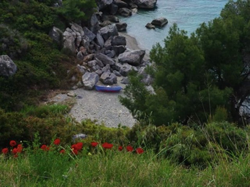 Visions grecques 2010.mov