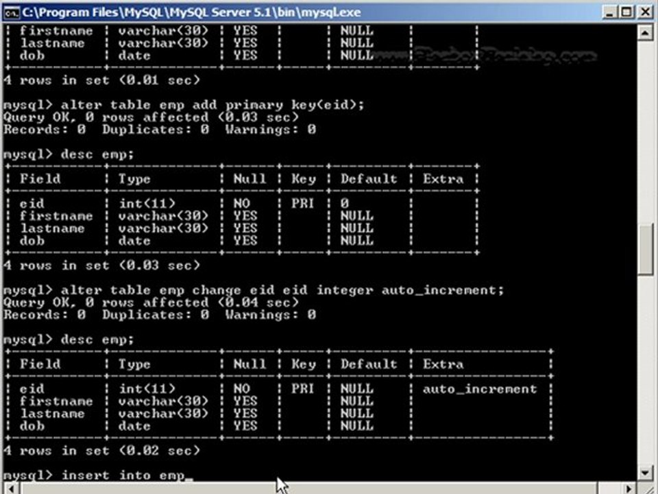 MySQL - Creating database, table, DML statements