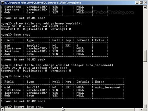 MySQL - Creating database, table, DML statements