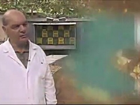 REVEILLEZ VOUS : extrait de La disparition des abeilles