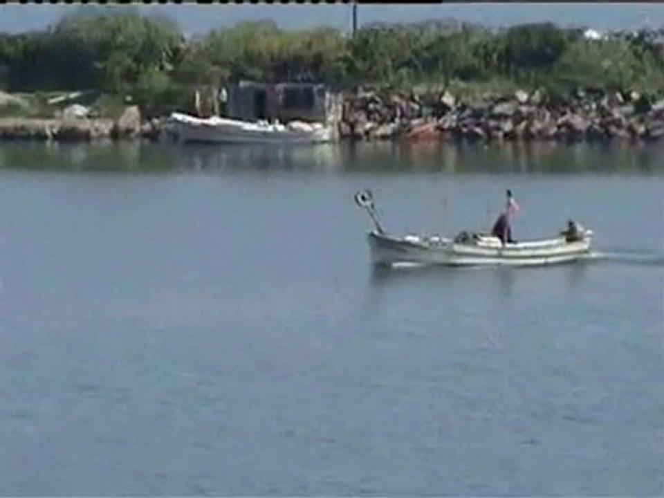 gulyali1