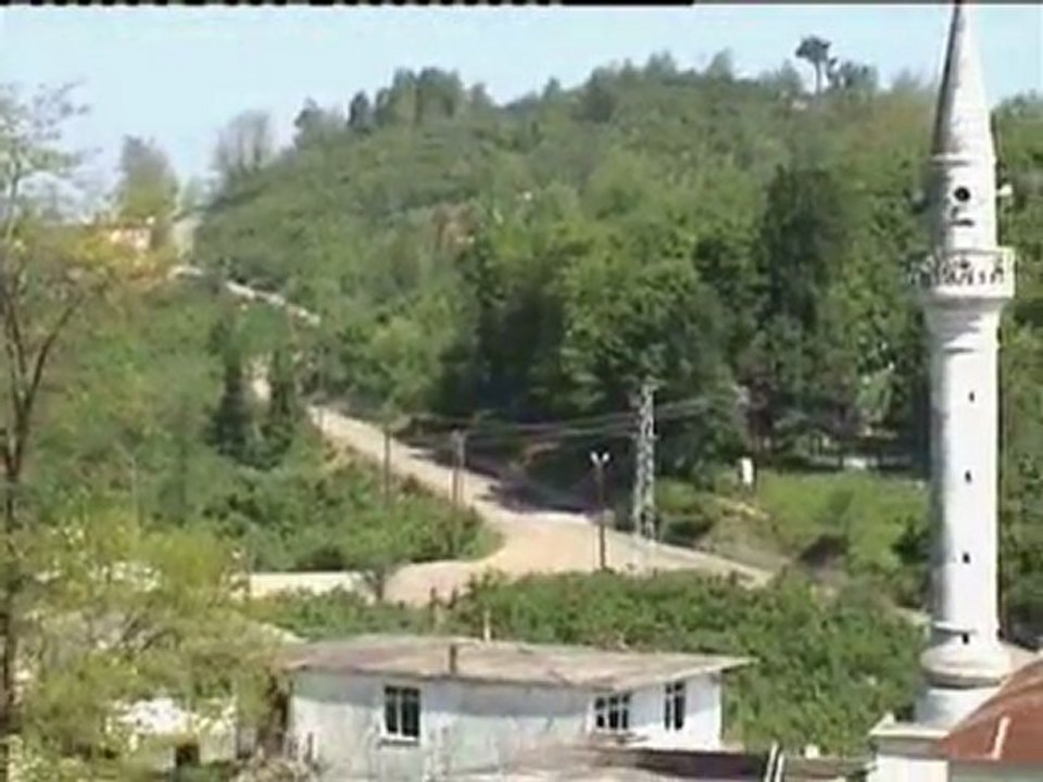 gulyali2