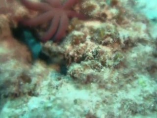 AOWLEUR KOH TAO THAILAND