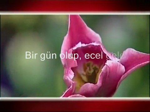 mehmet erarabacı - kaside ( bir garipsin şu dünyada)