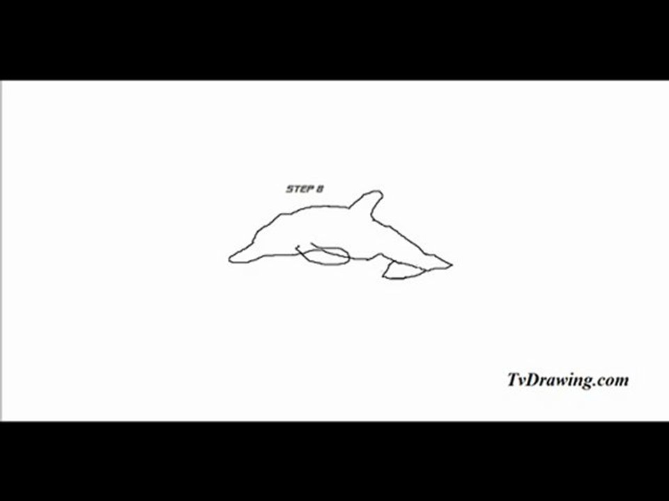 How To Draw a Simple and Easy Cartoon Dolphin Step by Step