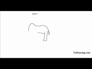 How To Draw a Simple Cartoon Elephant Face Easy Step by Step