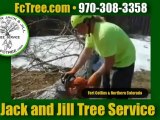 Tree Service Fort Collins CO – Tree Removal in Fort Collin