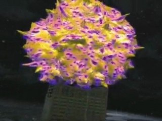 Trailer de Sakura Wars : So Long, My Love