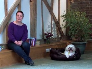 Dog Training Made Easy: Teach a dog recognise their name