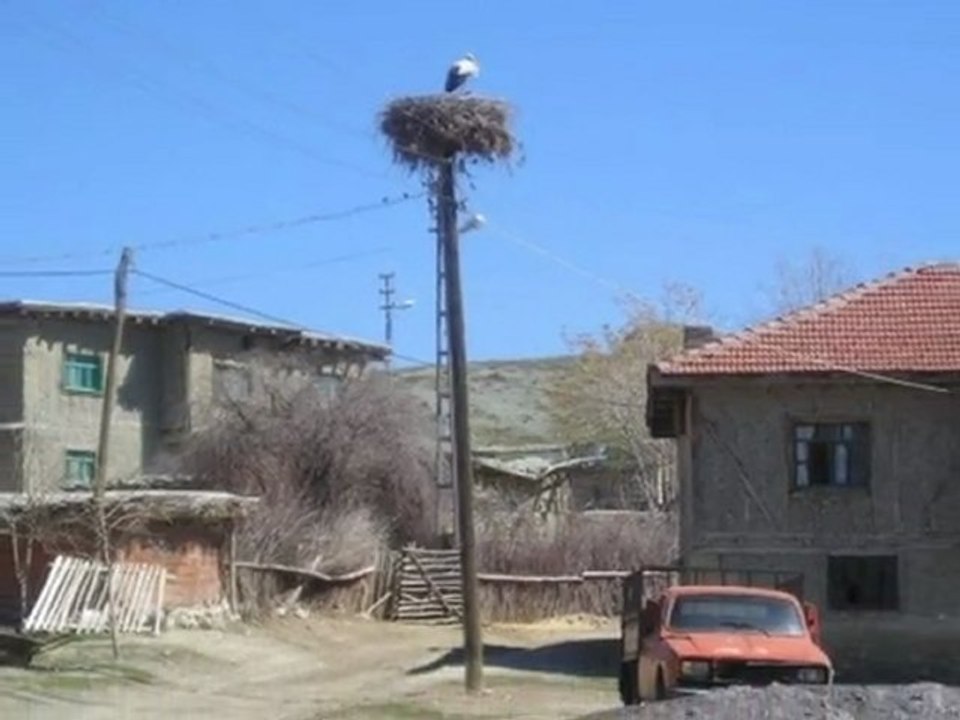 Koyunağılı Köyü Tanıtım