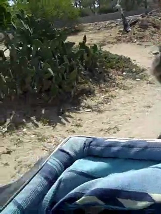 Vidéo 19