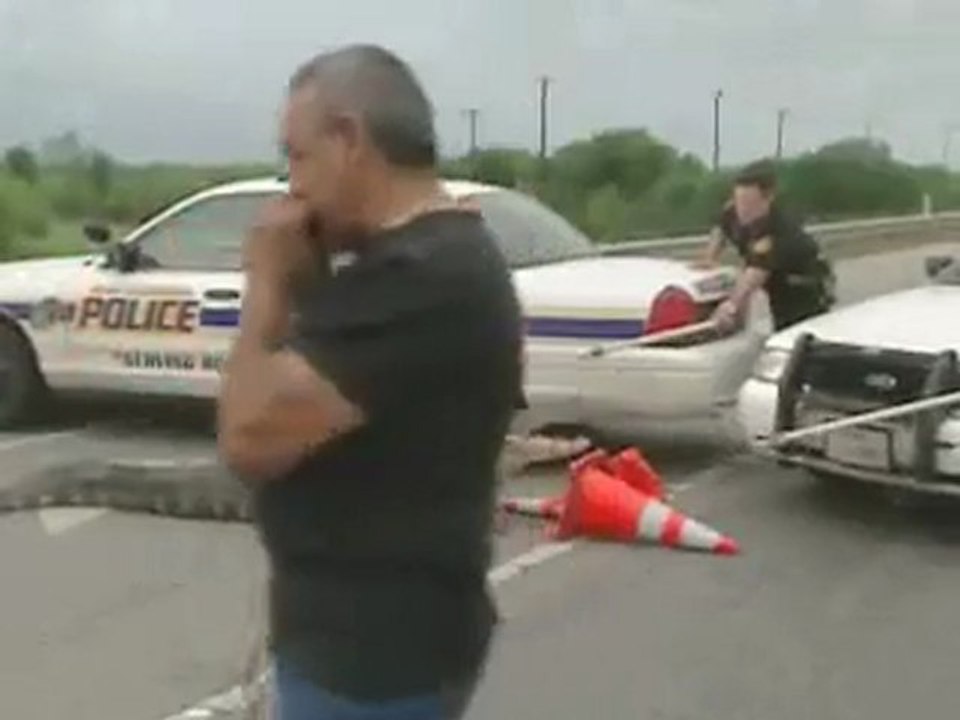 Alligatore braccato dalla polizia