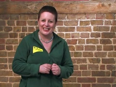 Dog Training Made Easy: Stay